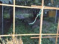 IMG_20260927_062150