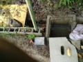 IMG_20260928_084301