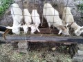 IMG_20260928_085034
