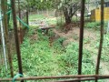 IMG_20260928_085112