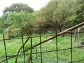 IMG_20260928_085137