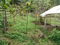 IMG_20260928_085148