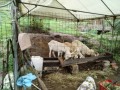 IMG_20260928_085157