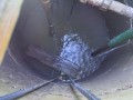 IMG_20260930_074624