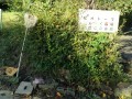IMG_20260930_074632