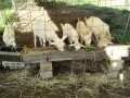 IMG_20260930_075331