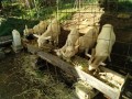 IMG_20260930_075337