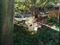 IMG_20260930_075359