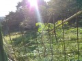 IMG_20260930_075425