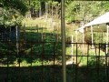 IMG_20260930_075440