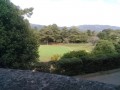 14dai-golf01-20261022_110910