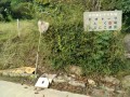IMG_20261001_084416