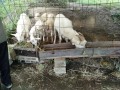 IMG_20261001_090052