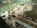 IMG_20261001_090102