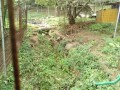 IMG_20261001_090122