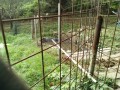 IMG_20261001_090158