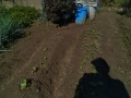 IMG_20261001_102035