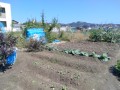 IMG_20261001_110539