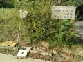 IMG_20261002_085753