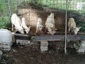 IMG_20261002_090458