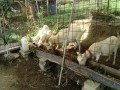 IMG_20261002_090506