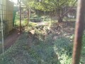 IMG_20261002_090521