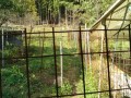 IMG_20261002_090530