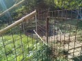 IMG_20261002_090543