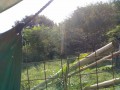 IMG_20261002_090545