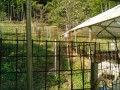 IMG_20261002_090601