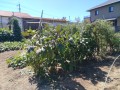 IMG_20261002_115848