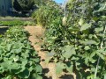 IMG_20261002_115855