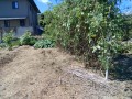 IMG_20261002_115932