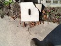 IMG_20261003_090833