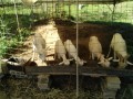 IMG_20261003_091556