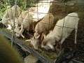 IMG_20261003_091611