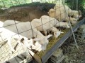 IMG_20261003_091624