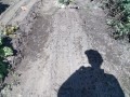 IMG_20261003_112722