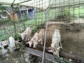 IMG_20261004_085548