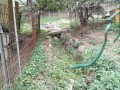 IMG_20261004_085557