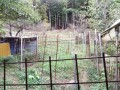 IMG_20261004_085602
