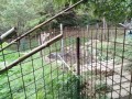 IMG_20261004_085612
