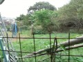 IMG_20261004_085616