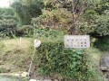 IMG_20261005_084721