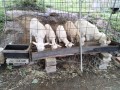 IMG_20261005_085111