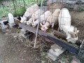 IMG_20261005_085117