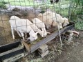 IMG_20261005_085126