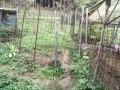 IMG_20261005_085151