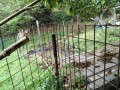 IMG_20261005_085204
