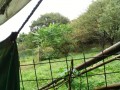 IMG_20261005_085206